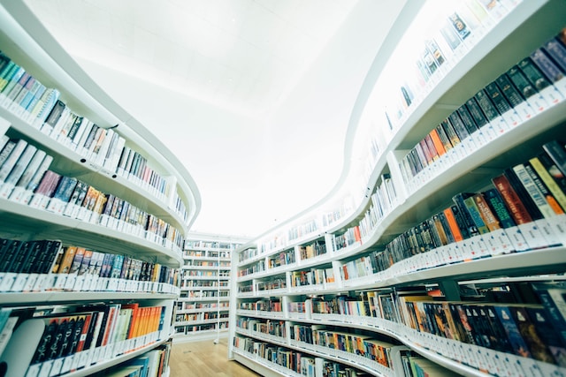 Open Access und die Zukunft der europäischen Bibliotheken und Archive