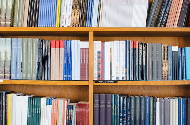 Die Bedeutung der europäischen Digitalisierungsstrategien für die Bewahrung des kulturellen Erbes