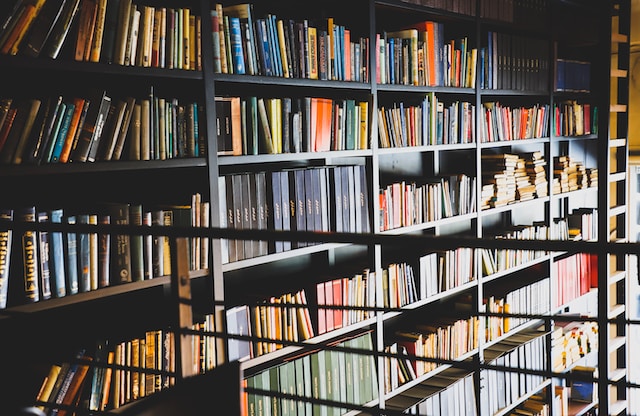 Digitalisierung von Kulturerbe in Europa: Best Practices und Erfolgsgeschichten