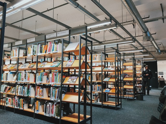 Die Rolle digitaler Bibliotheken und Archive in der europäischen Kulturerhaltung