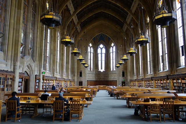 Die Entwicklung von Digitalisierungsprojekten in europäischen Bibliotheken und Archiven